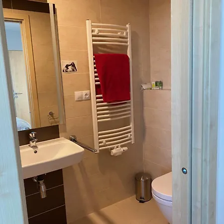 Penthouse Mit Balkon In Zentraler Lage In * Plzen