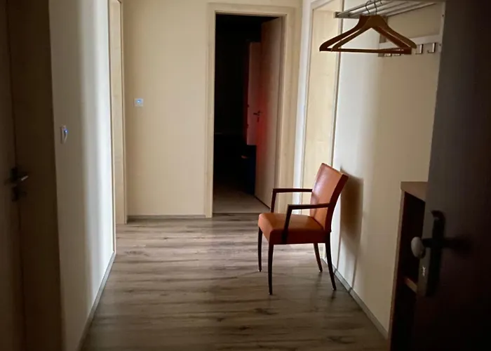 アパート Penthouse Mit Balkon In Zentraler Lage In プルゼニ