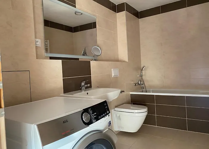 Penthouse Mit Balkon In Zentraler Lage In プルゼニ