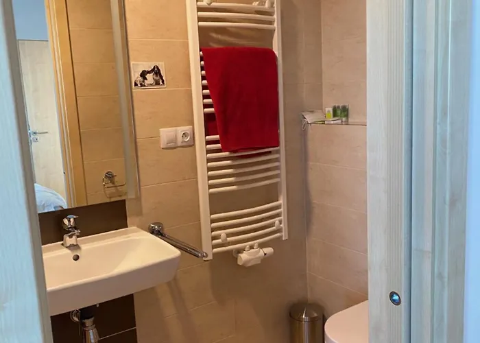 Penthouse Mit Balkon In Zentraler Lage In * Plzeň